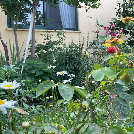 Hysa Appartement
