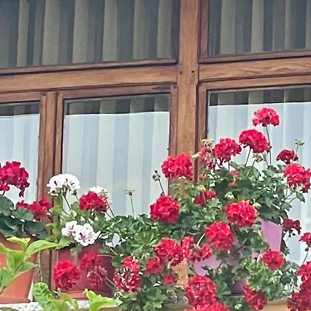Hysa Appartement Shkodër
